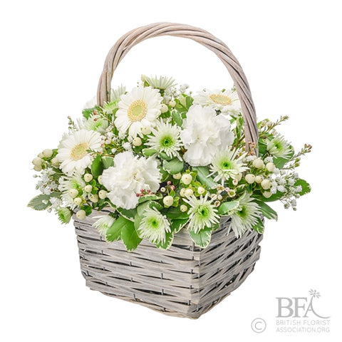 Purity Basket