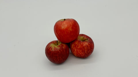 Gala Apple Each