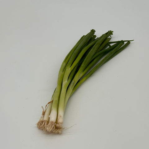 Spring Onion Bunch