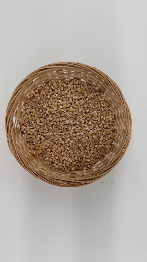 PEARL BARLEY per 100g