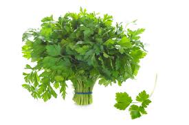 Flat Leaf Parsley Bunch