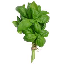 Fresh Basil